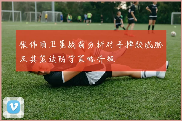 张伟丽卫冕战前分析对手摔跤威胁及其笼边防守策略升级
