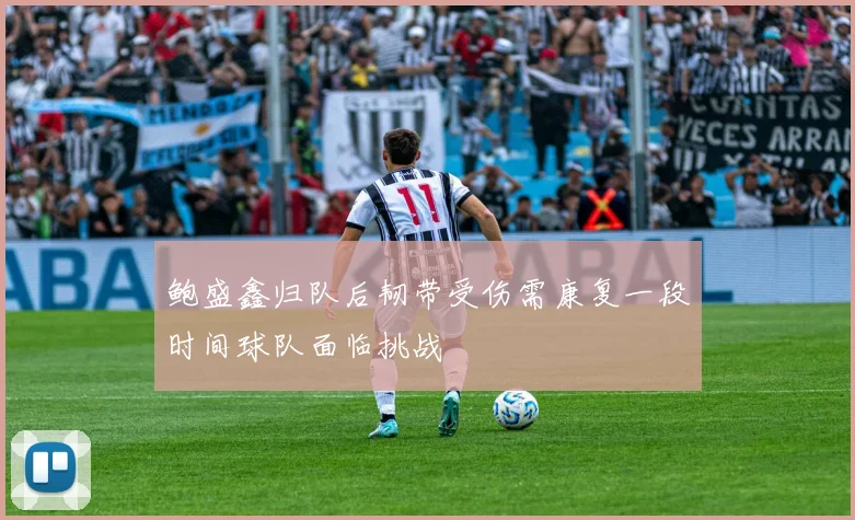 鲍盛鑫归队后韧带受伤需康复一段时间球队面临挑战