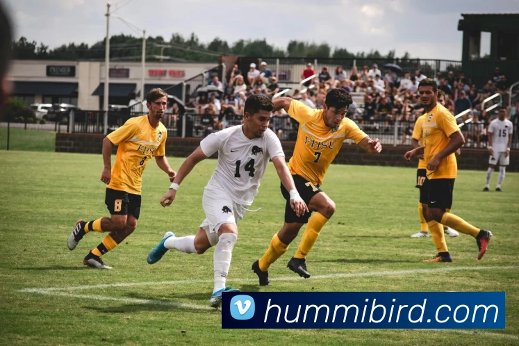 体育赛事直播